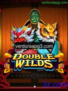 DoubleWilds: Aventura e Estrategia em um Jogo Empolgante